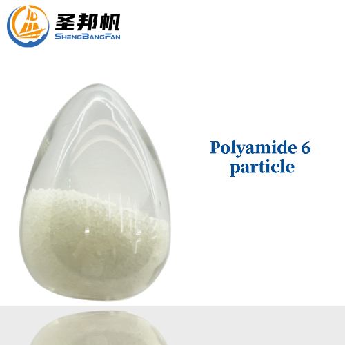 Polyamide 6 particles